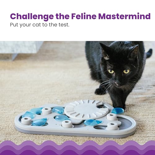 Nina Ottosson Rainy Day Puzzle & Play Cat Toy Treat Puzzle (Rainy Day / Treat Puzzle)