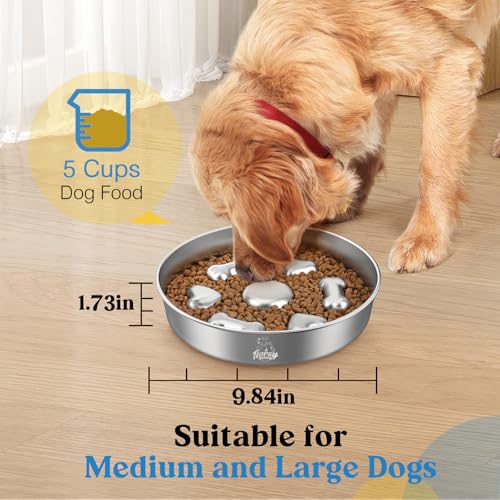 2Pcs Slow Feeder Dog Bowls (5 Cups / Silver/2 Pack)