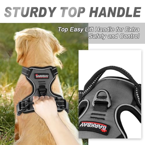Dog Harness No Pull for Small Sized Dog Front Back Clips (X-Small(Chest:15.5-19.5”) / Dark Grey)