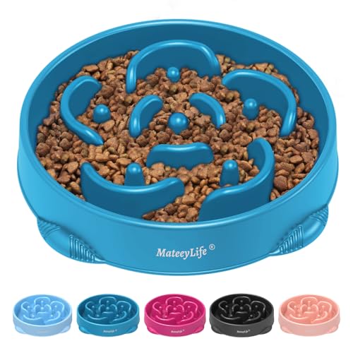1 Pack Slow Feeder Dog Bowls (G-DarkBlue / Large)