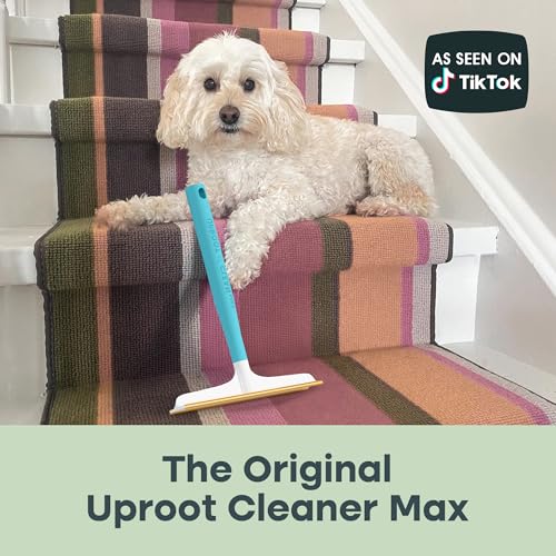 er Max Dog Hair Remover for Car & Carpet