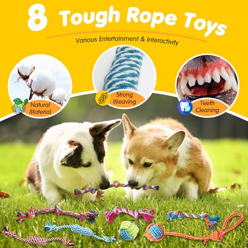 25 Pack Luxury Dog Chew Toys (25 Pack (Value-Toys))