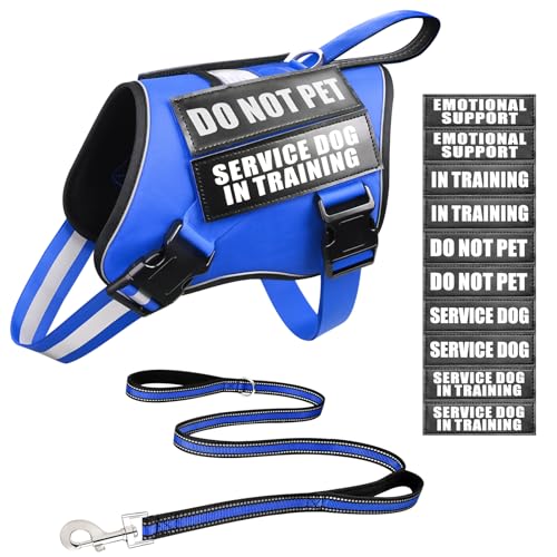 Service Dog Vest Harness and Leash Set+10 Patches (Large / Blue)