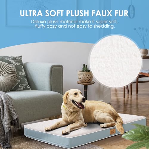 Extra Large Orthopedic Dog Bed (Blue / 41.0"L x 27.0"W x 3.0"Th)