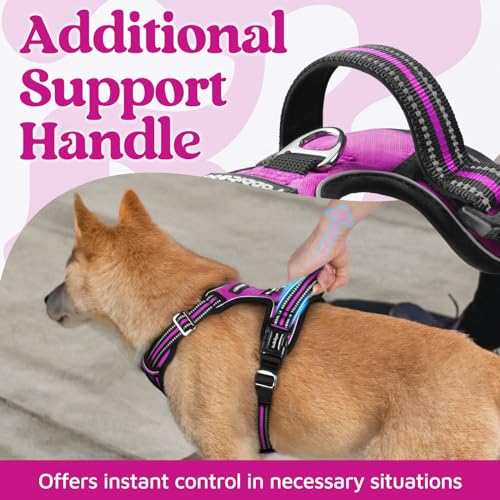 Dog Harness for Large (Purple / Large)