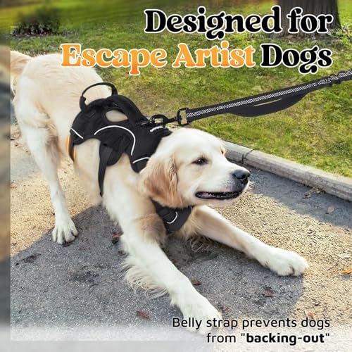 Escape Proof Dog Harness for Medium (Black / Medium)