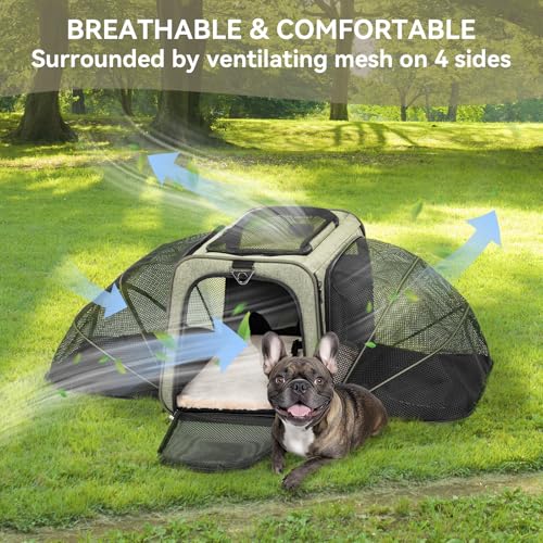 Large Double Expandable Cat Carrier for Large Cats and Small Dogs (19.0"L x 12.0"W x 12.0"H / Green)