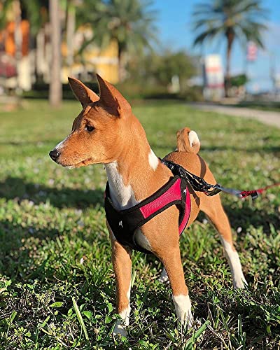 Escape Free Easy Fit Dog Harness (X-Small chest (15~17.25") / Red)
