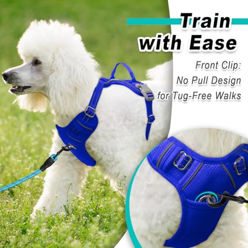 Dog Harness for Small Sized Dog No Pull Mesh 2 Clips Dog Vest (X-Small / Sapphire Blue-Mesh)