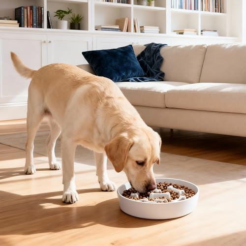 Ceramic Slow Feeder Dog Bowls (White Bone)