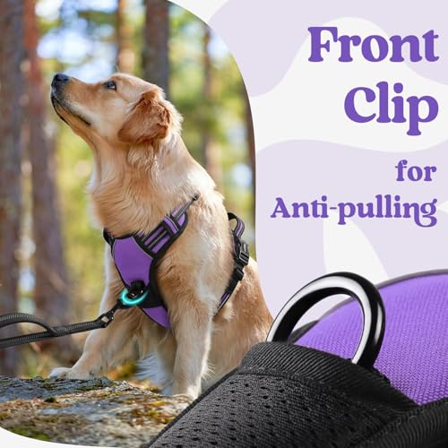 Dog Harness Small Sized (Small / Purple)