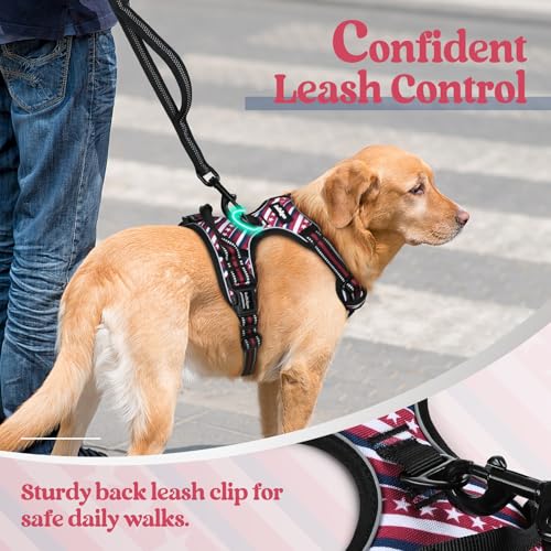 Dog Harness No Pull Medium Sized with 2 Leash Clips (Medium / Red Stripe)
