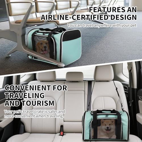 Cat Dog Carriers Soft (17.0"L x 11.0"W x 11.0"H / green)