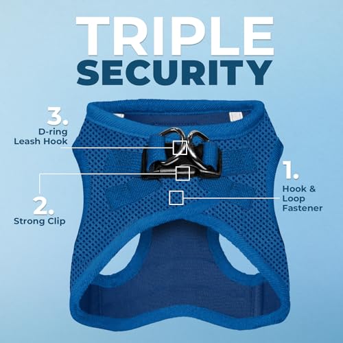 Voyager Step in Air All Weather Mesh Harness and Reflective Dog 5ft Leash Combo with Neoprene Handle (Royal Blue / XS (Chest: 13 - 14.5"))