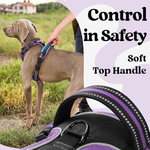 Dog Harness for Large (Large / Black & Purple)