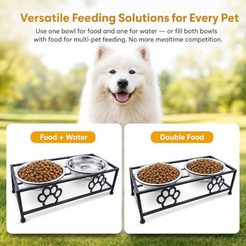 Raised Dog Bowls for Small Dogs (BLACK)
