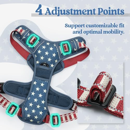 Dog Harness No Pull for Small Dogs with 2 Leash Clips (Small / Blue Star)