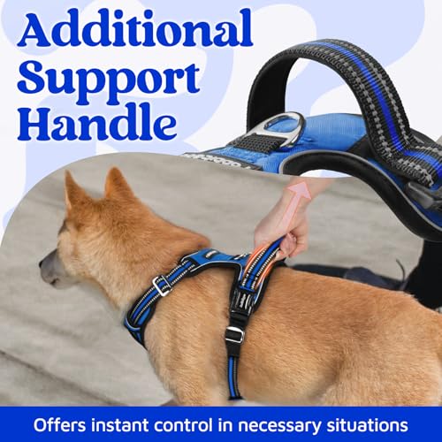 Dog Harness Medium Sized (Royal Blue / Medium)