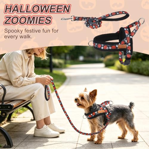 Dog Harness Medium Sized and Leash Set (Halloween Pumpkin / M: Chest 21"-26.7")
