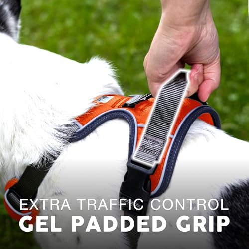 Embark No Pull Dog Harness (M / Maverick)
