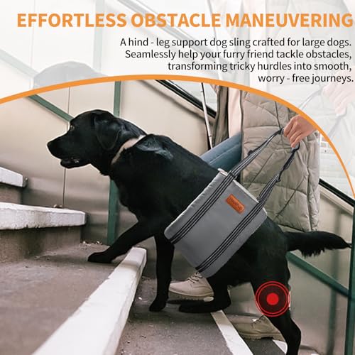 Dog Lift Harness for Large Dogs (Large (Pack of 1) / Grey)