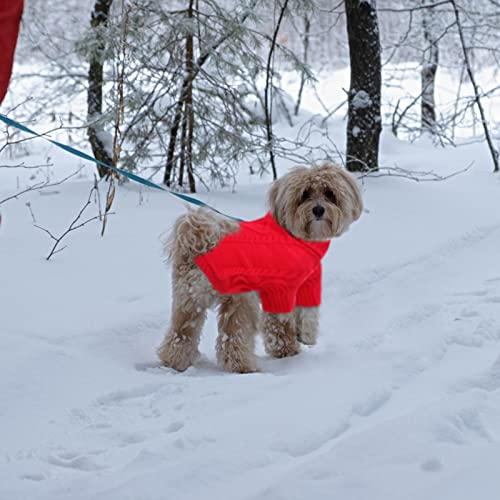 Small Dog Sweater for Small Dogs Girl (X-Small / Red)