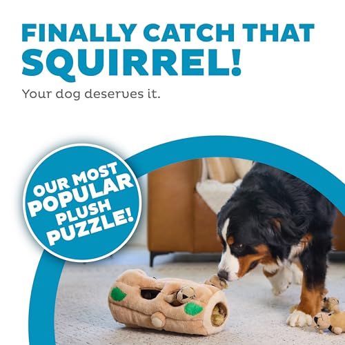 Hide-A-Squirrel Plush Squeaky Dog Toy, XL, 7" x 11.8" (Squirrel Xlarge / X Large (Pack of 1))