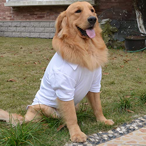 Basic Dog Polo Shirts Premium Cotton (XL (-35lbs) / White)