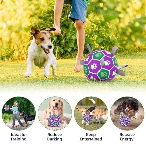 Dog Balls with Straps (7 Inch / Purple Green)