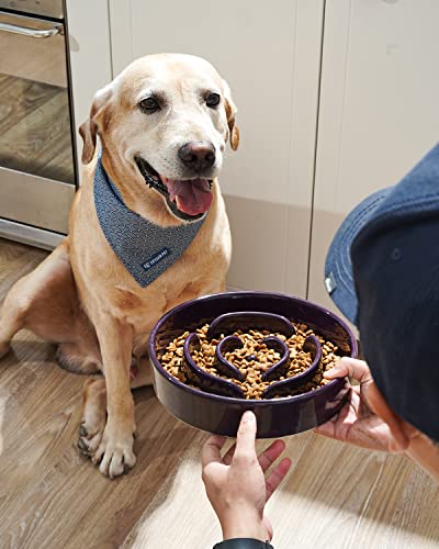 Slow Feeder Dog Bowls Ceramic (Maze Purple / L-3 Cups)