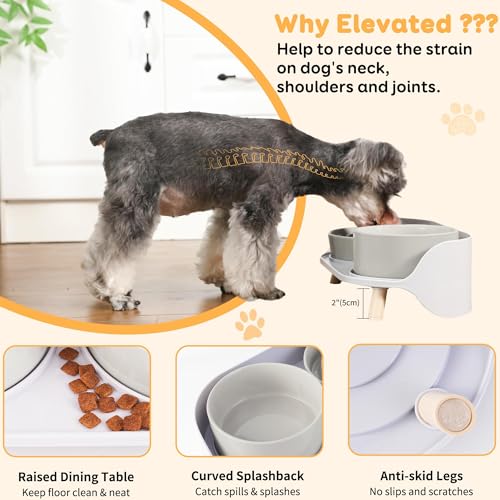 Elevated Slow Feeder Dog Bowls with Splash Proof Stand (Medium / Grey)