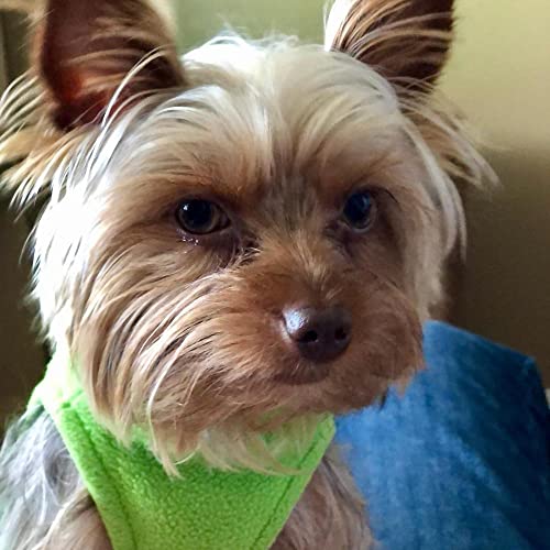 Stretch Fleece Vest Dog Sweater (XX-Large Length (18.5") / Grass Green)