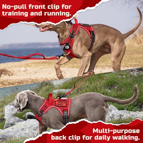 Tactical Dog Harness for Large (Red / Large)
