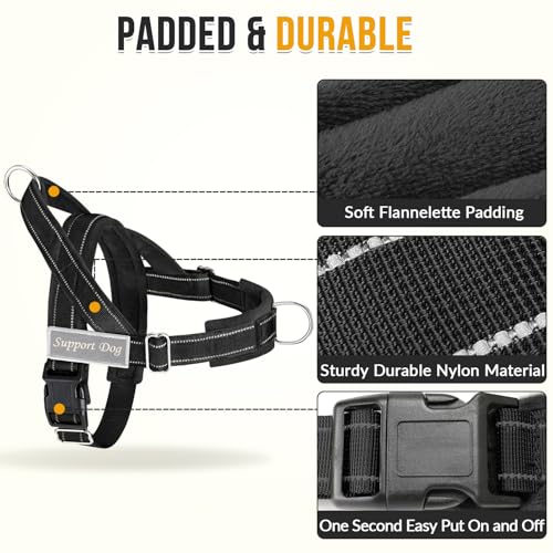 No Pull Dog Harness and Leash Set (Black / Large)
