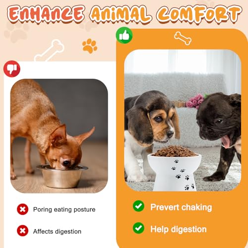 2 Pack Elevated Dog Bowls for Small Dogs and Cats