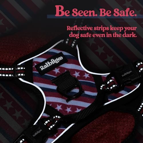 Dog Harness No Pull for Small Dogs with 2 Leash Clips (X-Small / Red Stripe)