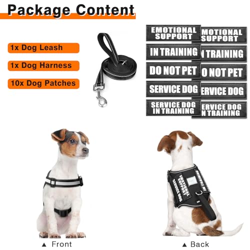 Dog Harness & Leash Set (Medium / Black)
