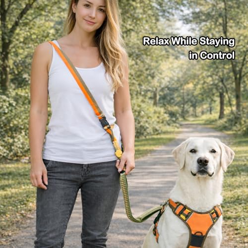 Hands Free Dog Leash with Waist Belt for Running & Walking (Golden Olive)
