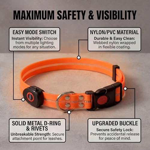 LED Dog Collar & 4 Foot Leash (Orange)