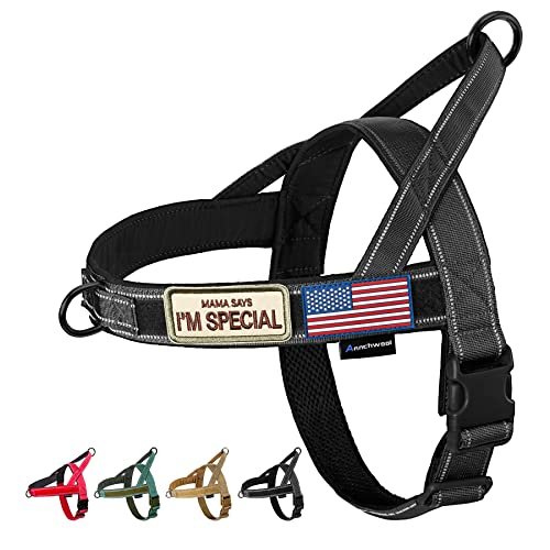 No Pull Dog Harness with Soft Padded Handle (M / Black)