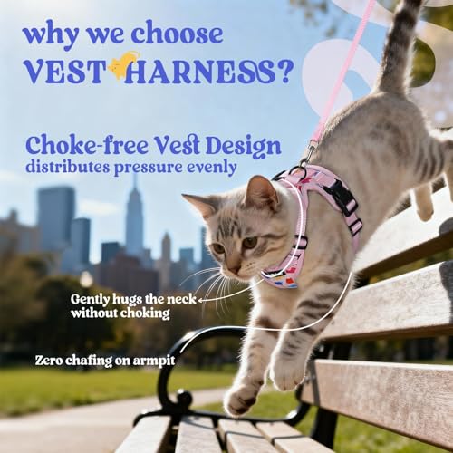 Cat Harness and Leash Set (M / Purrty Pink)
