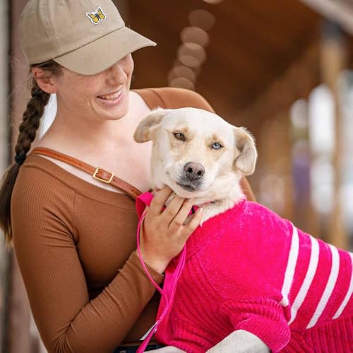 Cozy Soft Chenille Classy Striped Dog Sweater in Hot Pink (16 inch / Hot Pink)