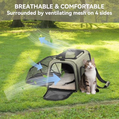 Small Expandable Cat Carrier for Air Travel (16.0"L x 10.0"W x 9.0"H / Green)