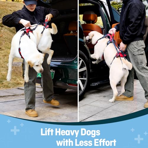 Dog Lift Harness for Large Dogs (Red / Large)
