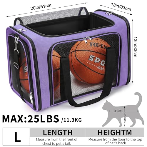 Soft Sided Cat (Purple / 20"L x 13"W x 13"H)