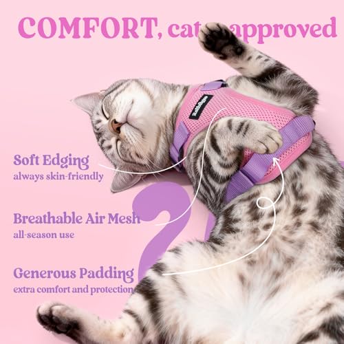Cat Harness and Leash Set (Xxs / Pink & Light Purple)