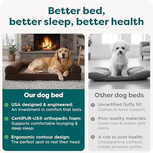 Orthopedic Dog Bed for Large Dogs w (Jumbo / Espresso)