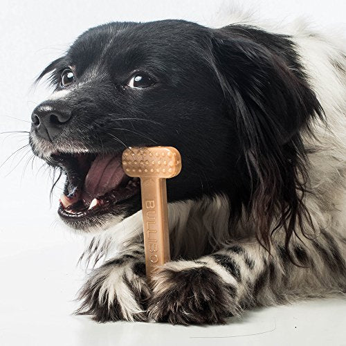 Nylon Dog Chew Toy for Aggressive Chewers (Small - Single)