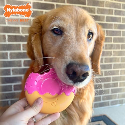 Donut Power Chew Toy for Dogs (Donut 1 Pack / Large)