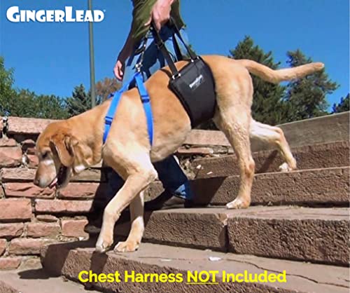 K9 Sling Hind Leg Support (Medium-Large - Unisex)